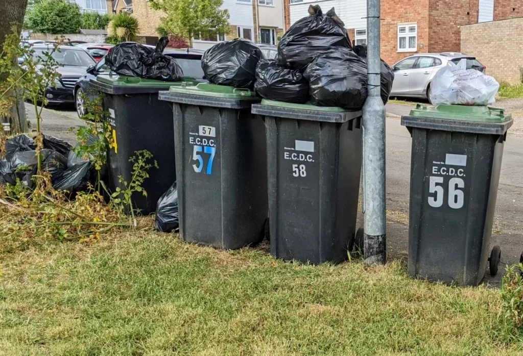 Bin crisis reflected in this photo taking earlier this year by East Cambs councillor Mark Inskip.