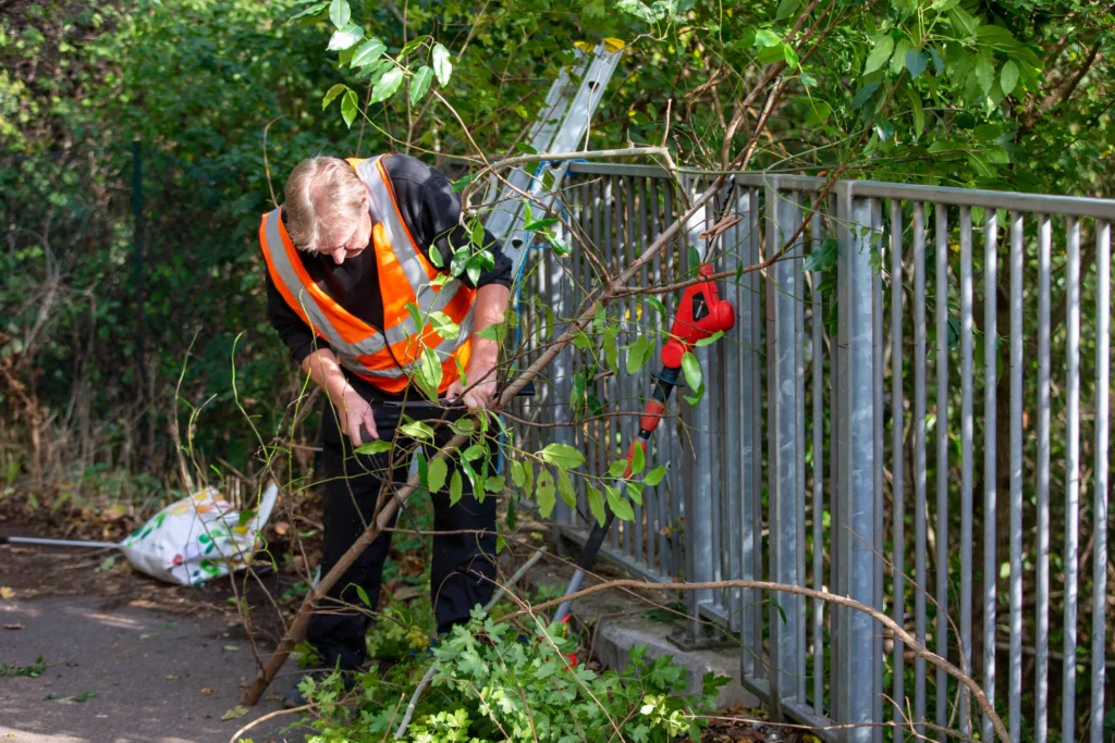 Voulnteers cut back bushes after attck on nurse and no action from Council. - News for Peterborough and Cambridgeshire News for Peterborough and Cambridgeshire -