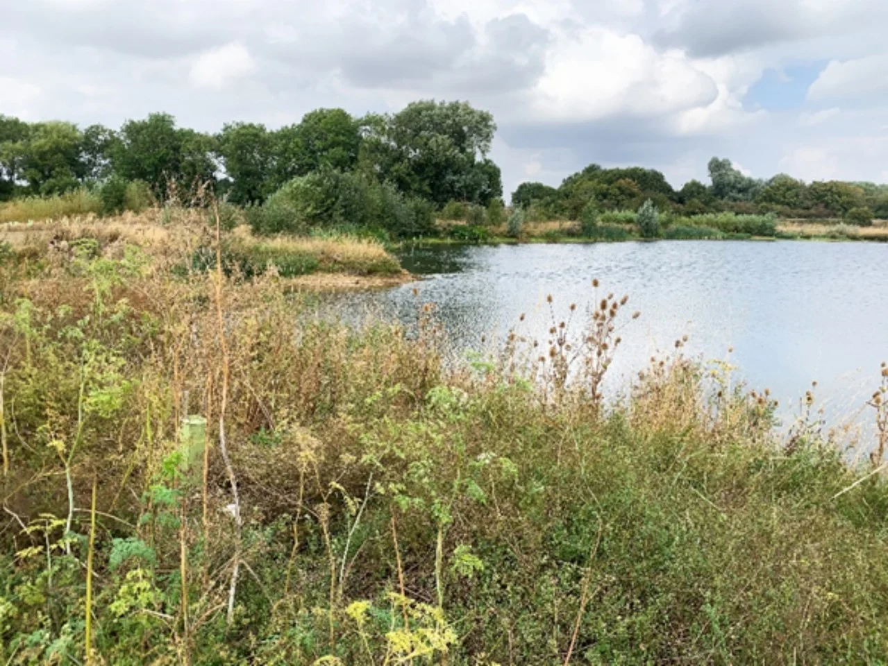 Langdyke wants to create the new nature reserve adjacent to the Maxey Cut securing the future of Christ’s College Pits as a community asset for nature and local people