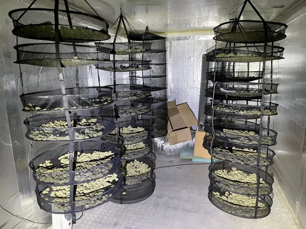 wisbech drugs find - News for Peterborough and Cambridgeshire News for Peterborough and Cambridgeshire -