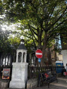 Historic Huntingdon tree has, sadly, to be felled