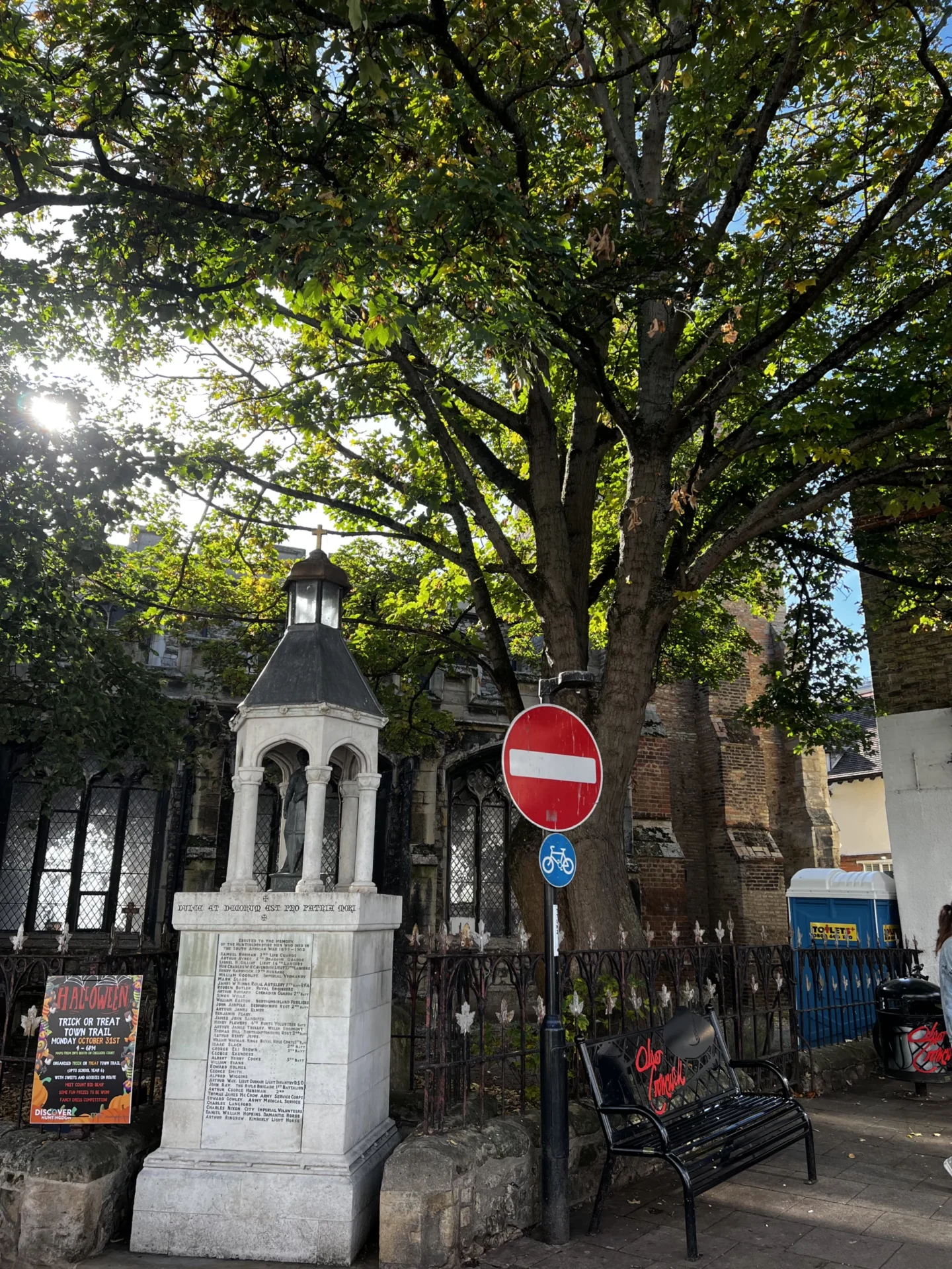 Photo of tree to be removed. Photo Credit Huntingdon Town Council (002) - News for Peterborough and Cambridgeshire News for Peterborough and Cambridgeshire -