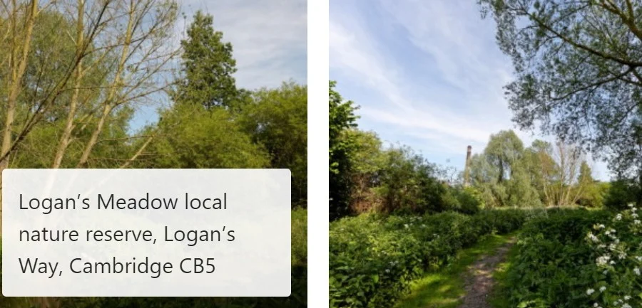 logan - News for Peterborough and Cambridgeshire News for Peterborough and Cambridgeshire -