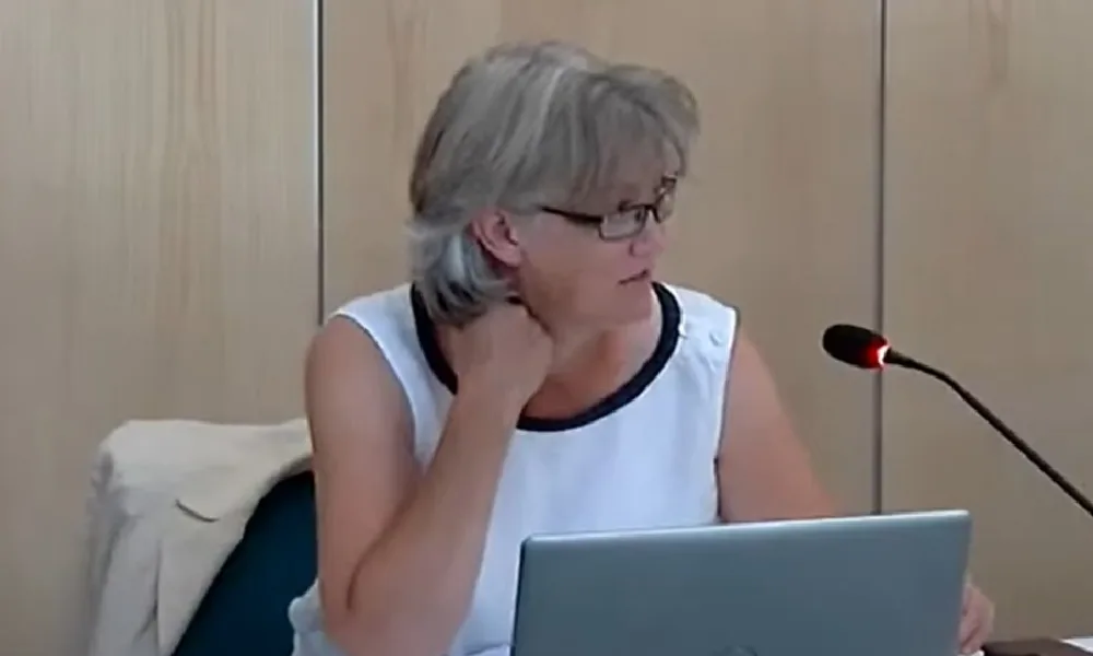 Cllr Anna Bailey, the Conservative leader of East Cambridgeshire Council, a car fanatic, and general pain in the side to the rainbow alliance at Shire Hall and to the functioning of Cambridgeshire and Peterborough Combined Authority.