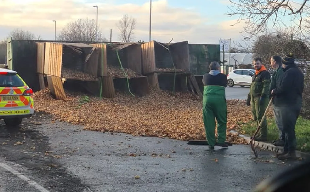 Enough to make you cry as onions spill from overturned trailer in Chatteris