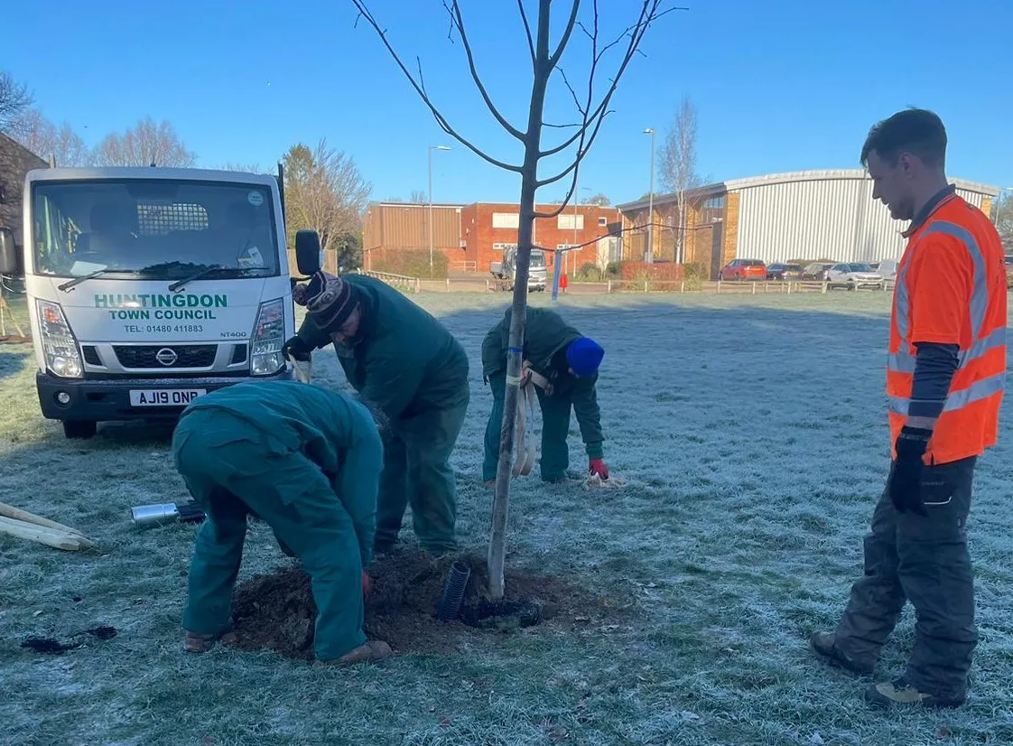 tree 1 - News for Peterborough and Cambridgeshire News for Peterborough and Cambridgeshire -