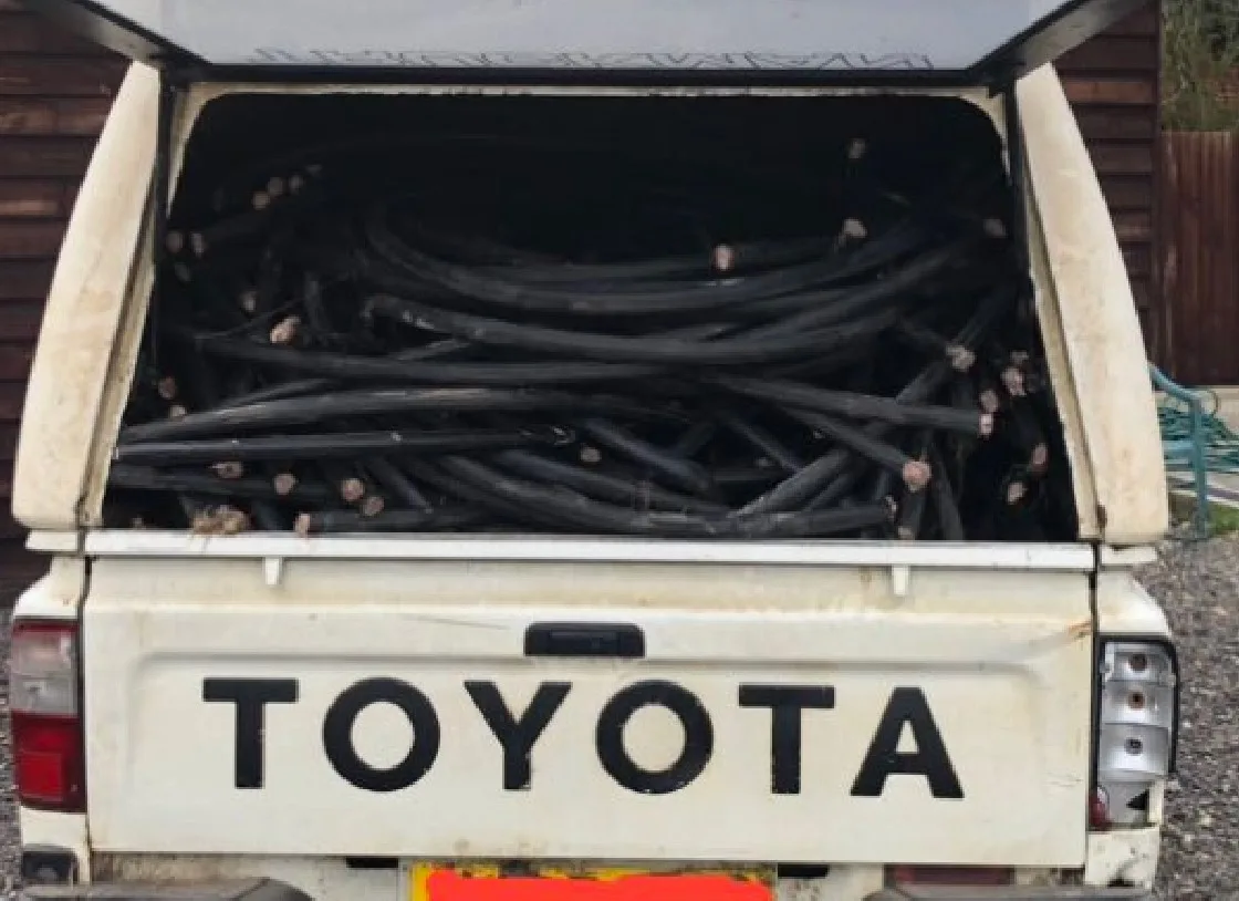 witch 4 - News for Peterborough and Cambridgeshire News for Peterborough and Cambridgeshire - Police discovered a vehicle with a large amount of suspected stolen copper cable at Witchford plus a building full of cannabis plants.