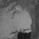 Police have released CCTV of a man they would like to speak to in connection with two burglaries in Whittlesford.