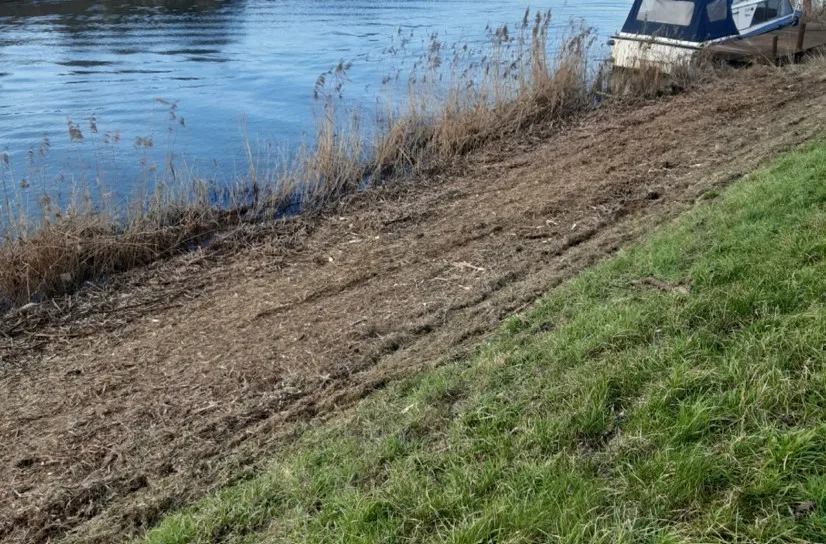 river bank 2 - News for Peterborough and Cambridgeshire News for Peterborough and Cambridgeshire - The Environment Agency are clearing riverside scrub including thick bramble bushes along a two-mile length of river between Queen Adelaide and Littleport. PHOTO: David Jermy