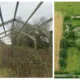 Planning Inspectorate has ruled against allowing a barn conversion at Gage Farm, Branch Road, Comberton. The parish council supports the ruling.
