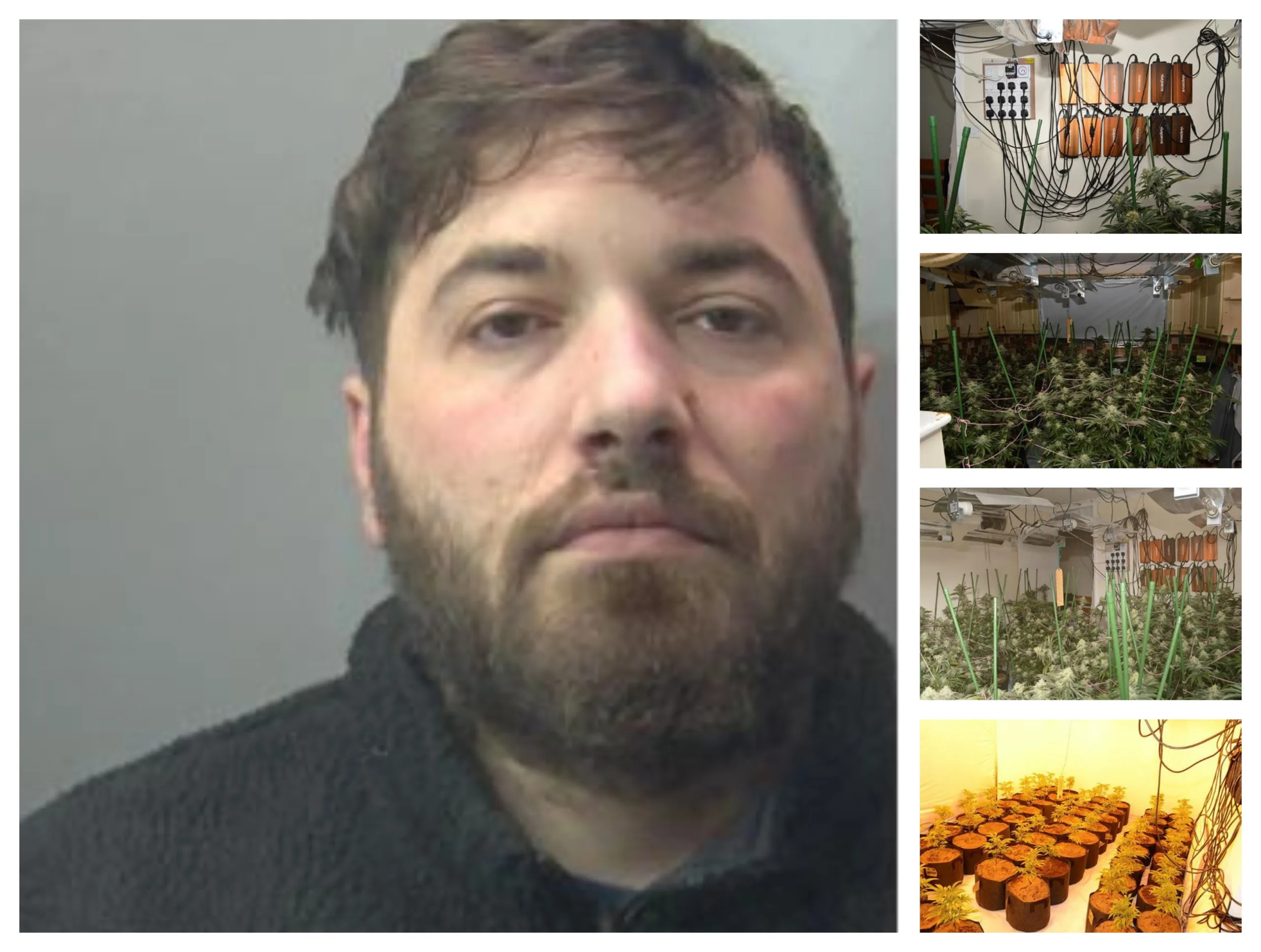 A review of the phone of Genc Giergie found photos of cannabis plants, including “selfies” with the yields and photographs of documents relating to properties in Bretton and Yaxley.