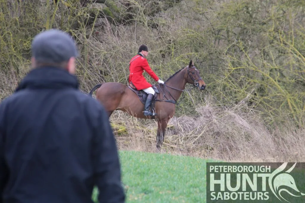 Shaun Parrish, 32, is the huntsman at the Fitzwilliam, responsible for controlling and directing the pack during a day’s hunting. Photo: PETERBOROUGH HUNT SABOTEURS