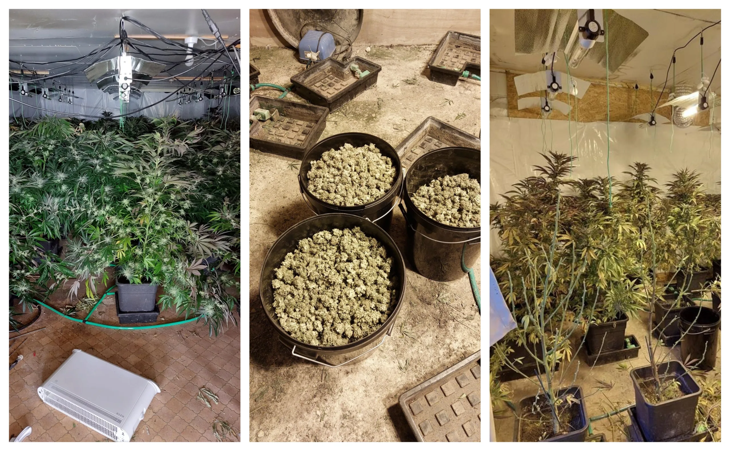 “Two men have been arrested and bailed after police found a cannabis factory on the Norfolk/Cambridgeshire border yesterday afternoon (3 May 2023),” said a spokesperson for Norfolk Police. “Two men have been arrested and bailed after police found a cannabis factory on the Norfolk/Cambridgeshire border yesterday afternoon (3 May 2023),” said a spokesperson for Norfolk Police.