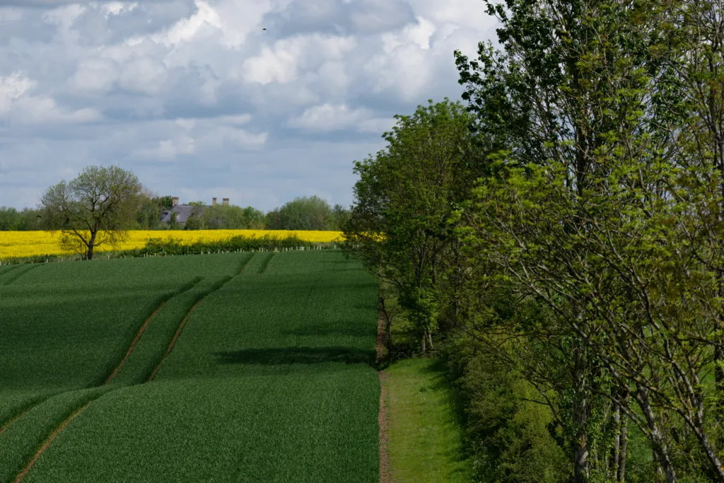 Cambridgeshire farmer Oliver Williams, says: “Hedgerows benefit all small species, especially hedgehogs, which is why I take great care in ensuring they are protected and nurtured at all costs.