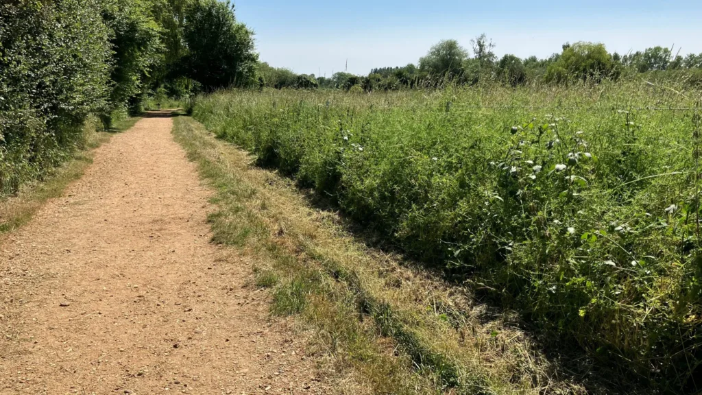 Police were called to Paxton Pits Nature Reserve, Little Paxton, near St Neots, at about 7.40am on Thursday (29 June) after the woman was found unconscious by dog walkers.