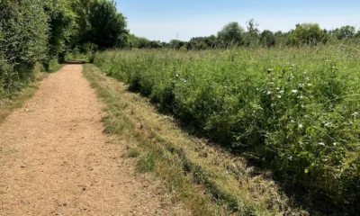 Police were called to Paxton Pits Nature Reserve, Little Paxton, near St Neots, at about 7.40am on Thursday (29 June) after the woman was found unconscious by dog walkers.