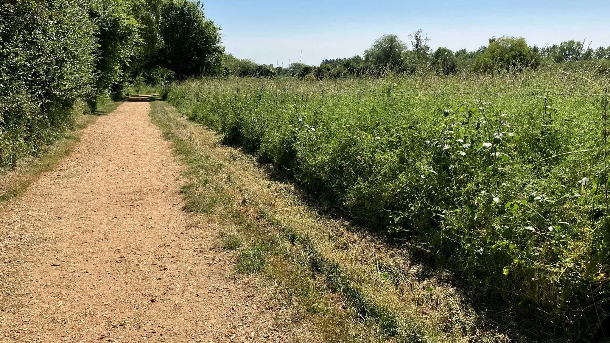 Police were called to Paxton Pits Nature Reserve, Little Paxton, near St Neots, at about 7.40am on Thursday (29 June) after the woman was found unconscious by dog walkers. Police were called to Paxton Pits Nature Reserve, Little Paxton, near St Neots, at about 7.40am on Thursday (29 June) after the woman was found unconscious by dog walkers.