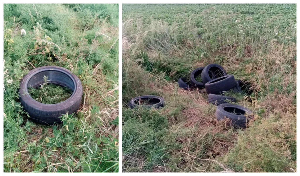 FixMyStreet upload from resident and the accompany comment: Large amount of tyres dumped on verge and in dyke along Green Lane both sides of road.