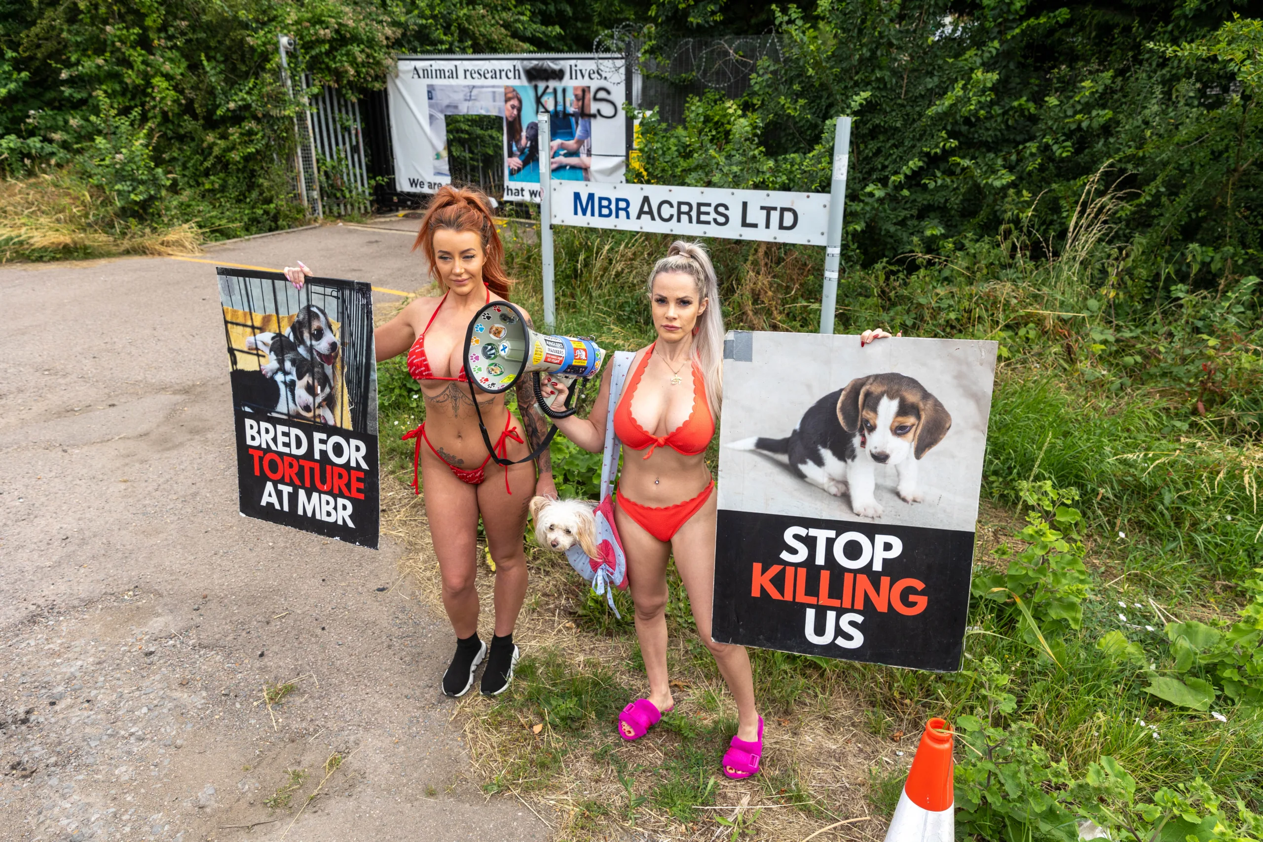 Babestation Zoe Grey and Stella Paris turn up to raise awareness of animal testing at MBR Acres, Bailiffs on behalf of Mills and Reeves throw papers at people in an attempt to serve them but just litter the highway. MBR Acres, Huntingdon Monday 10 July 2023. PHOTO: Terry Harris