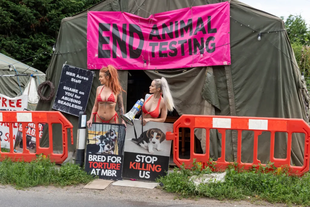 Babestation Zoe Grey and Stella Paris turn up to raise awareness of animal testing at MBR Acres, Bailiffs on behalf of Mills and Reeves throw papers at people in an attempt to serve them but just litter the highway. MBR Acres, Huntingdon Monday 10 July 2023. PHOTO: Terry Harris 