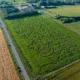 Maize Maze “this is going to be a really great summer and we can’t wait to open the doors on the 20th July” Skylark Garden Centre, March Friday 07 July 2023. Picture by Terry Harris