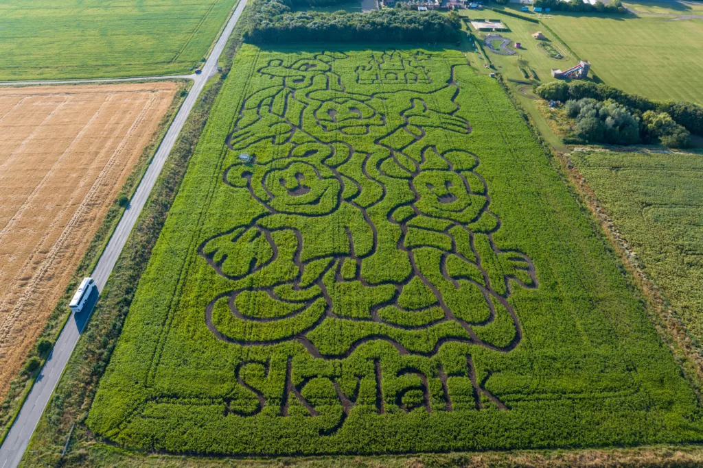 Maize Maze “this is going to be a really great summer and we can’t wait to open the doors on the 20th July” Skylark Garden Centre, March Friday 07 July 2023. Picture by Terry Harris 