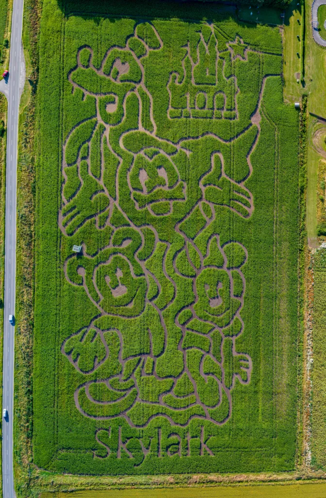 Maize Maze “this is going to be a really great summer and we can’t wait to open the doors on the 20th July” Skylark Garden Centre, March Friday 07 July 2023. Picture by Terry Harris 