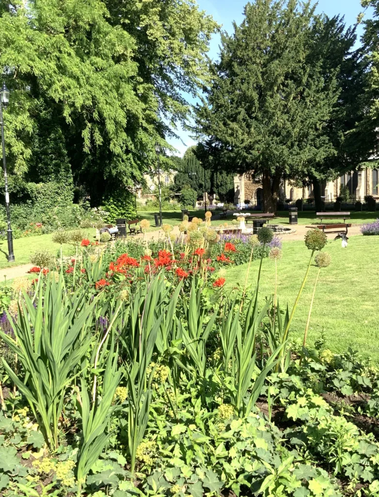 The joy of summer in Wisbech: Caught on camera this week by Wisbech Tweet and showing the array of colourful displays that can be viewed and enjoyed. 