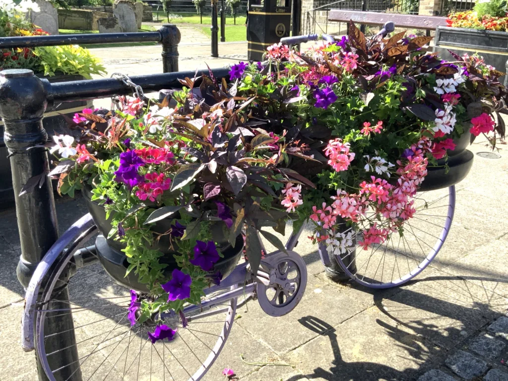 PICTURE PERFECT: A summertime view of Wisbech in all its glory