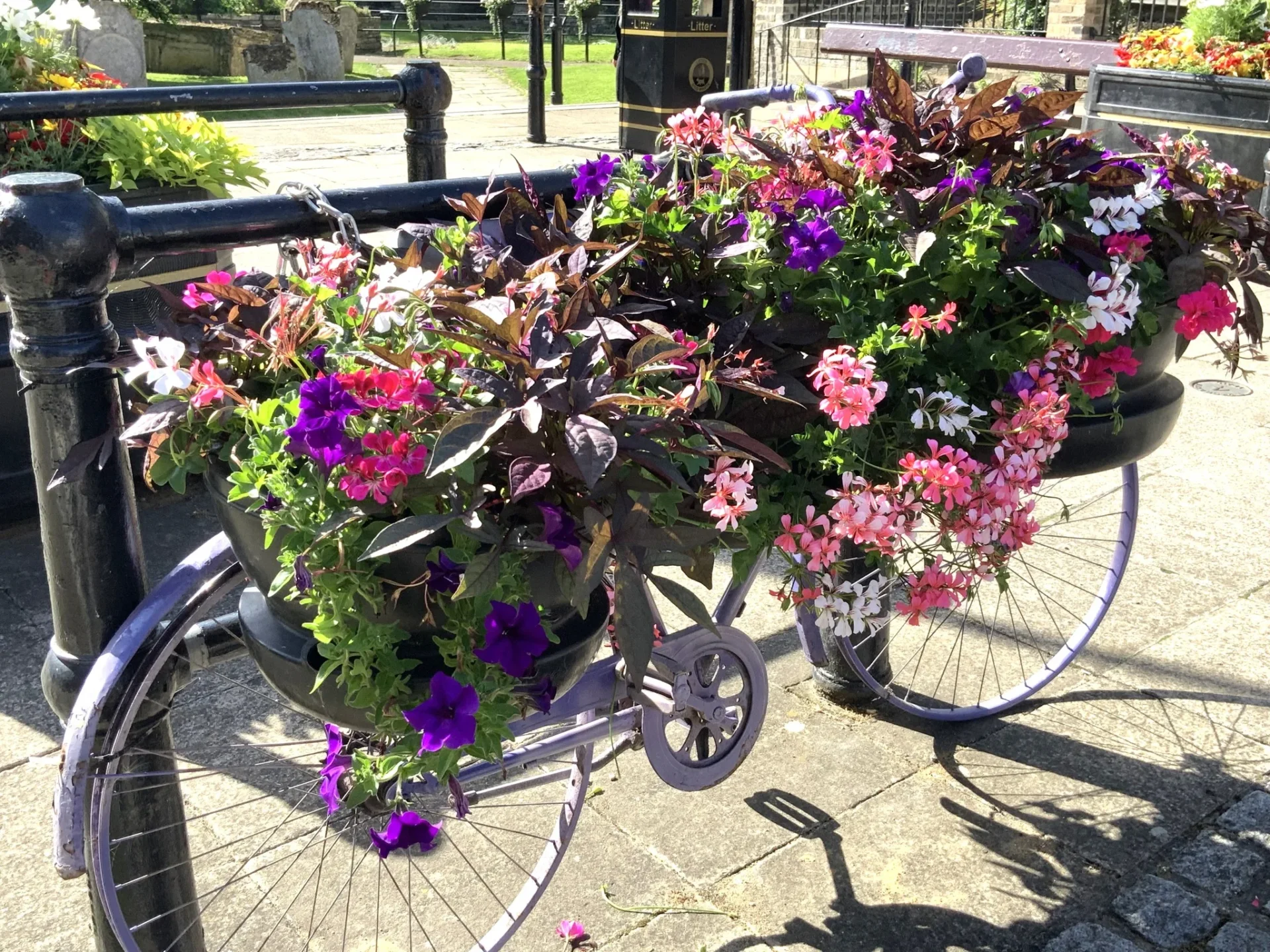 WISBECH 15 - News for Peterborough and Cambridgeshire News for Peterborough and Cambridgeshire - The joy of summer in Wisbech: Caught on camera this week by Wisbech Tweet and showing the array of colourful displays that can be viewed and enjoyed.