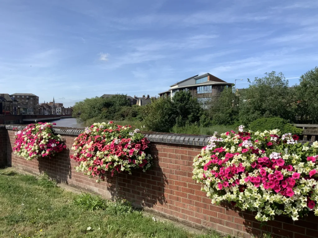 The joy of summer in Wisbech: Caught on camera this week by Wisbech Tweet and showing the array of colourful displays that can be viewed and enjoyed. 