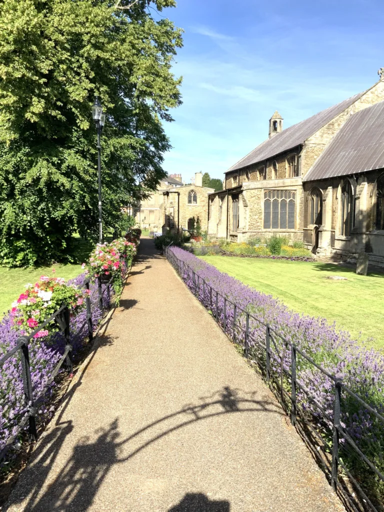 The joy of summer in Wisbech: Caught on camera this week by Wisbech Tweet and showing the array of colourful displays that can be viewed and enjoyed. 