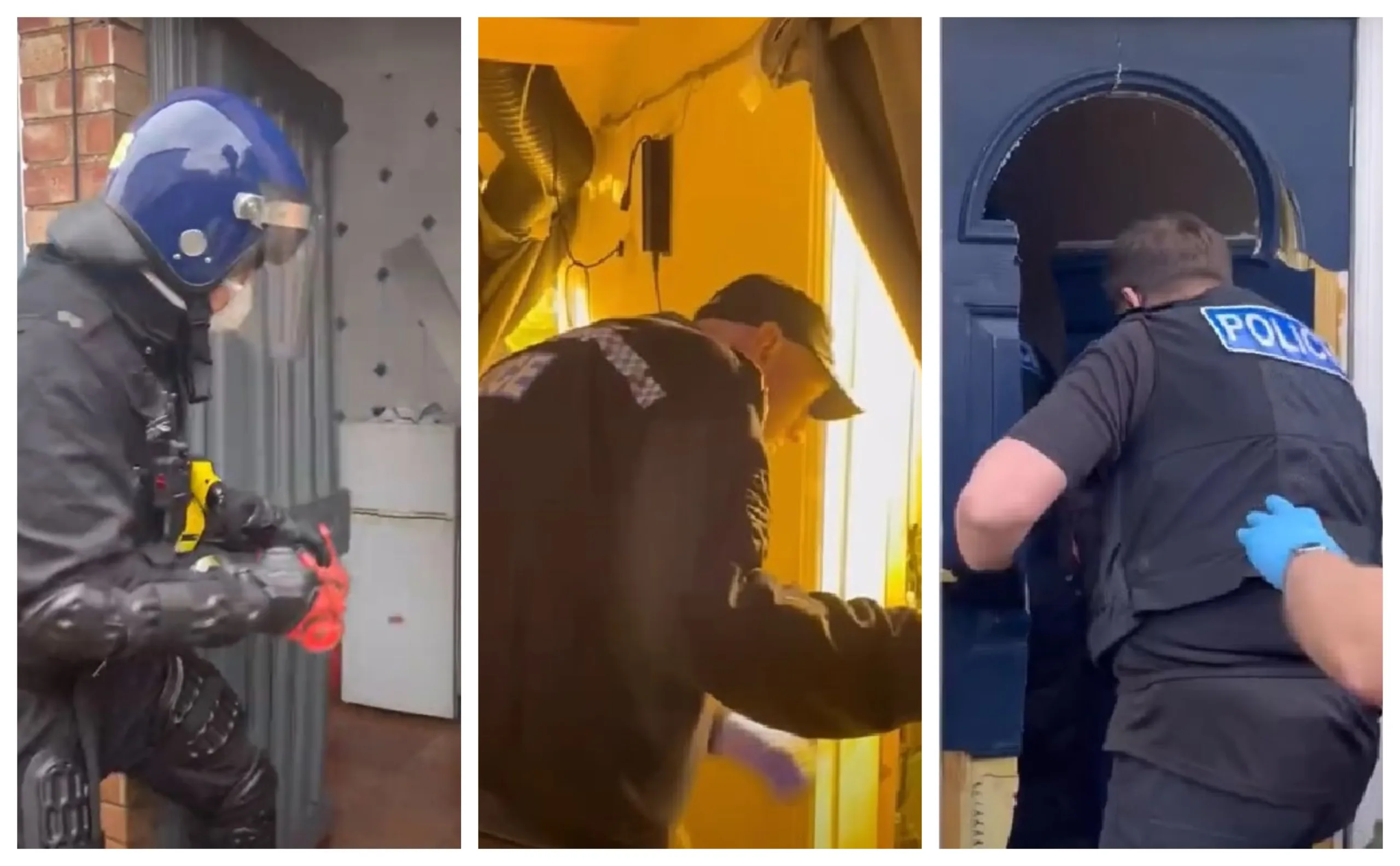 Video footage/images released by Cambridgeshire police give an indication of the scale of the operation to tackle illegal cannabis grows across the county: 19 raids in one month.
Video footage/images released by Cambridgeshire police give an indication of the scale of the operation to tackle illegal cannabis grows across the county: 19 raids in one month.