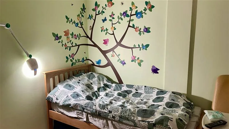 including images of the wall murals, the parents room 