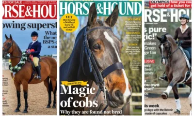 Founded in 1884, Horse & Hound describes itself as Britain’s equestrian weekly ‘Bible’. The magazine was among the first to suspect Kerry Palin of fraud over supposed fund raising for Australia bushfire victims.