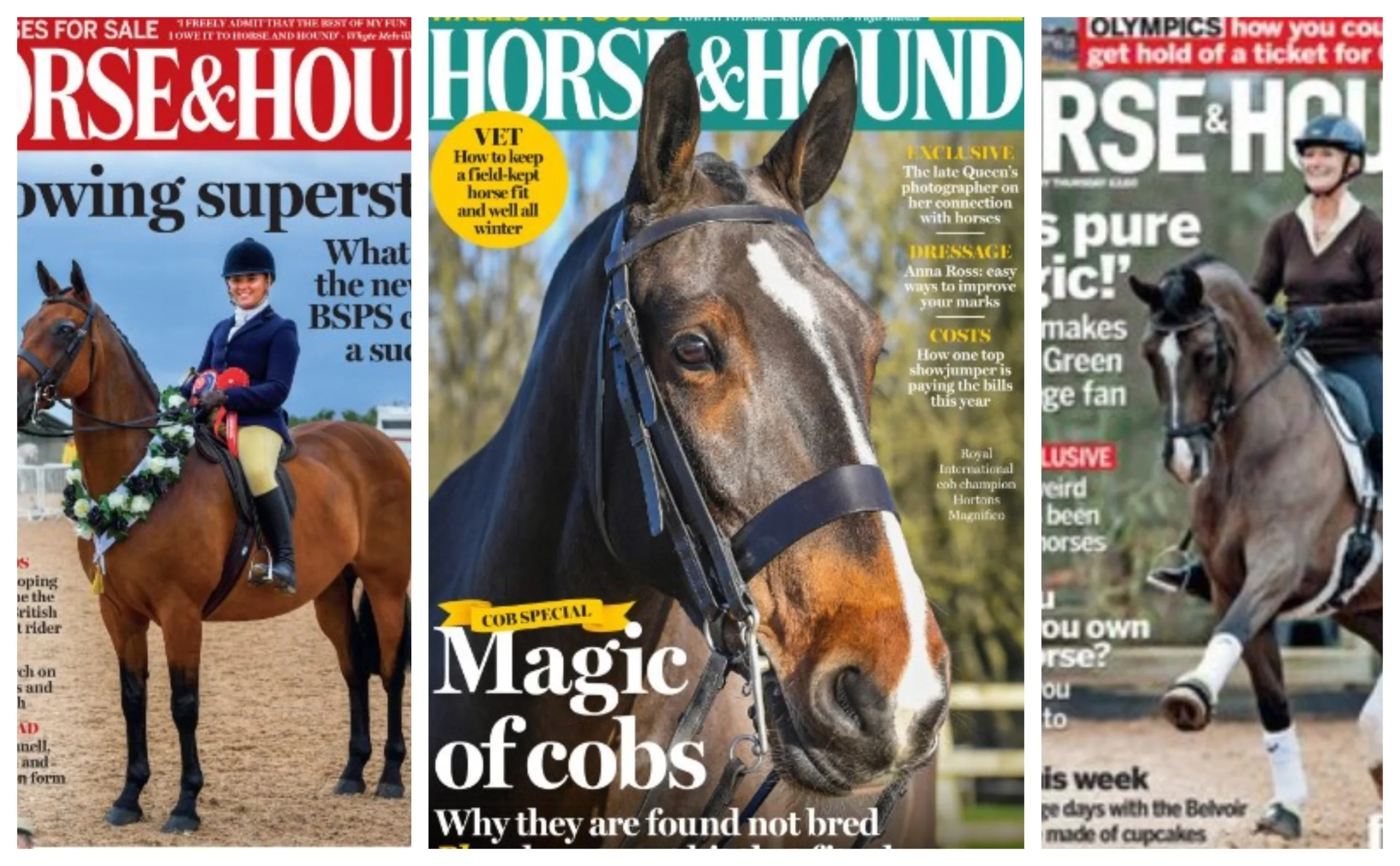 Founded in 1884, Horse & Hound describes itself as Britain’s equestrian weekly ‘Bible’. The magazine was among the first to suspect Kerry Palin of fraud over supposed fund raising for Australia bushfire victims. Founded in 1884, Horse & Hound describes itself as Britain’s equestrian weekly ‘Bible’. The magazine was among the first to suspect Kerry Palin of fraud over supposed fund raising for Australia bushfire victims.