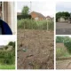 Fenland Council leader Chris Boden (top left) says the council was not ‘short changed’ when it sold this land at Murrow for £8,000 at auction in 2019. It has now gone on sale, with permission for one house, for £95,000.