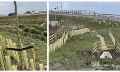 Site Photographs illustrating the existing landscape buffer with the enhanced drainage associated with Ralph Butcher Causeway