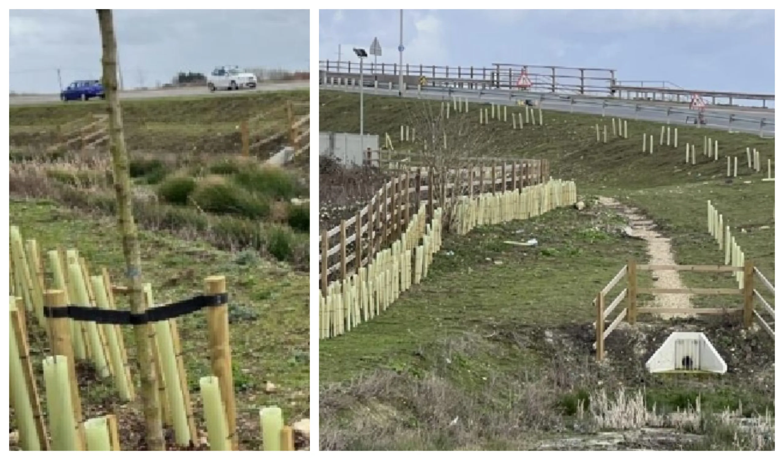 Site Photographs illustrating the existing landscape buffer with the enhanced drainage associated with Ralph Butcher Causeway Site Photographs illustrating the existing landscape buffer with the enhanced drainage associated with Ralph Butcher Causeway