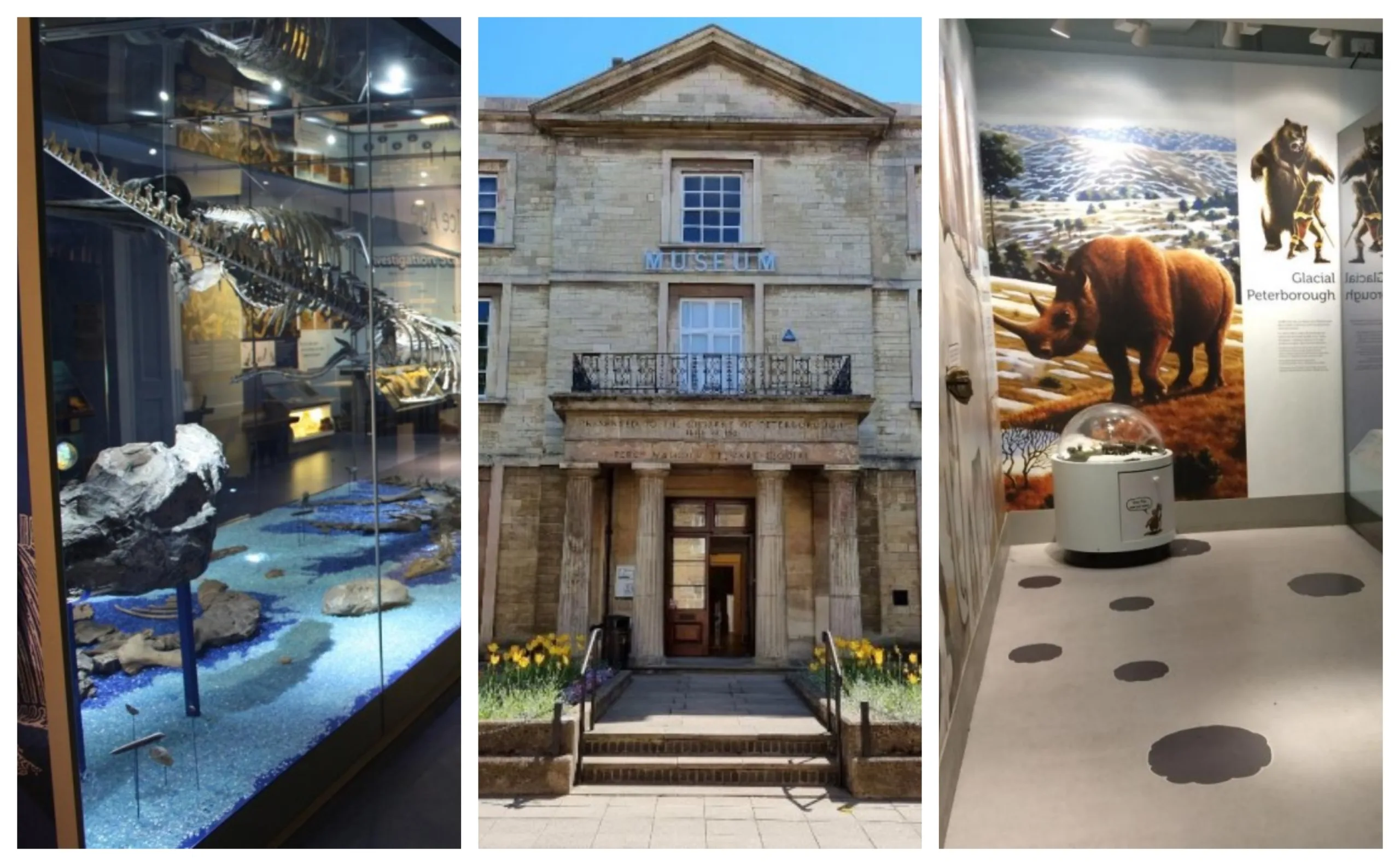 Peterborough Museum Society Committee has written an open letter expressing concerns over the future of the museum and other leisure outlets in the city Peterborough Museum Society Committee has written an open letter expressing concerns over the future of the museum and other leisure outlets in the city