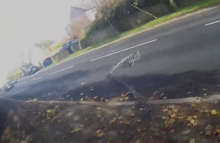 WATCH: Moment Cambridgeshire police stinger stops drug dealer’s car