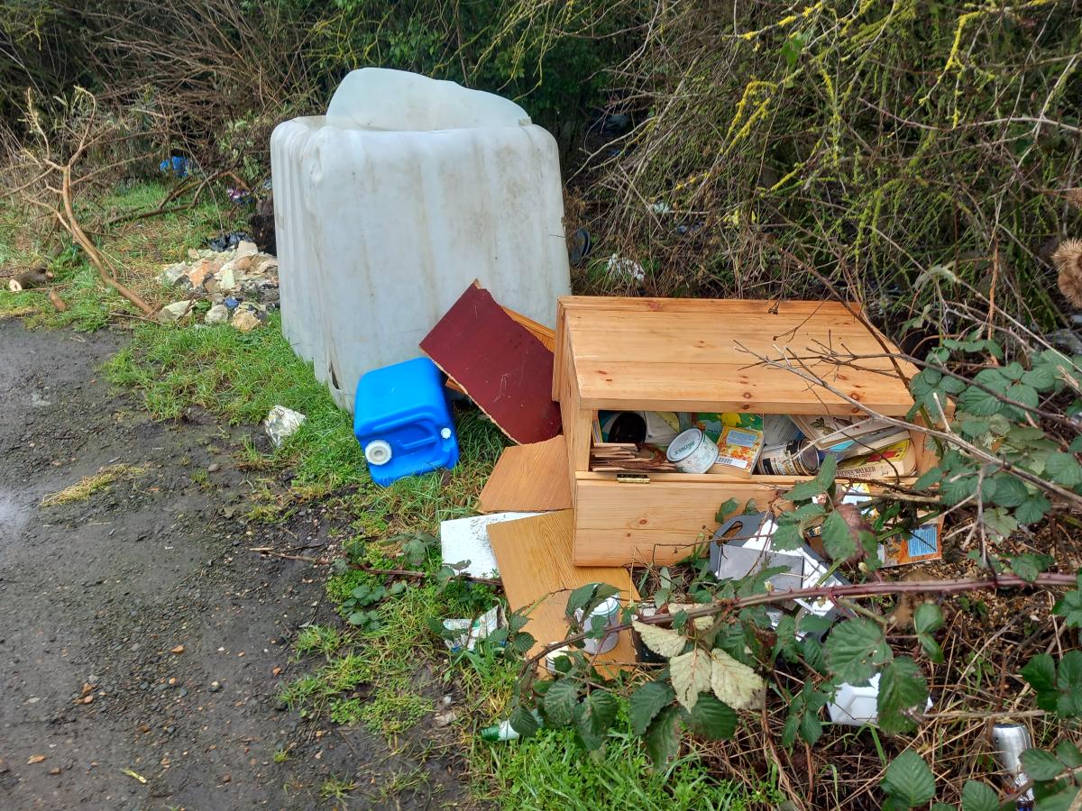 Westland was brought to court after officers from East Cambridgeshire District Council found a wooden cupboard along with other household waste in a layby alongside Pools Road.