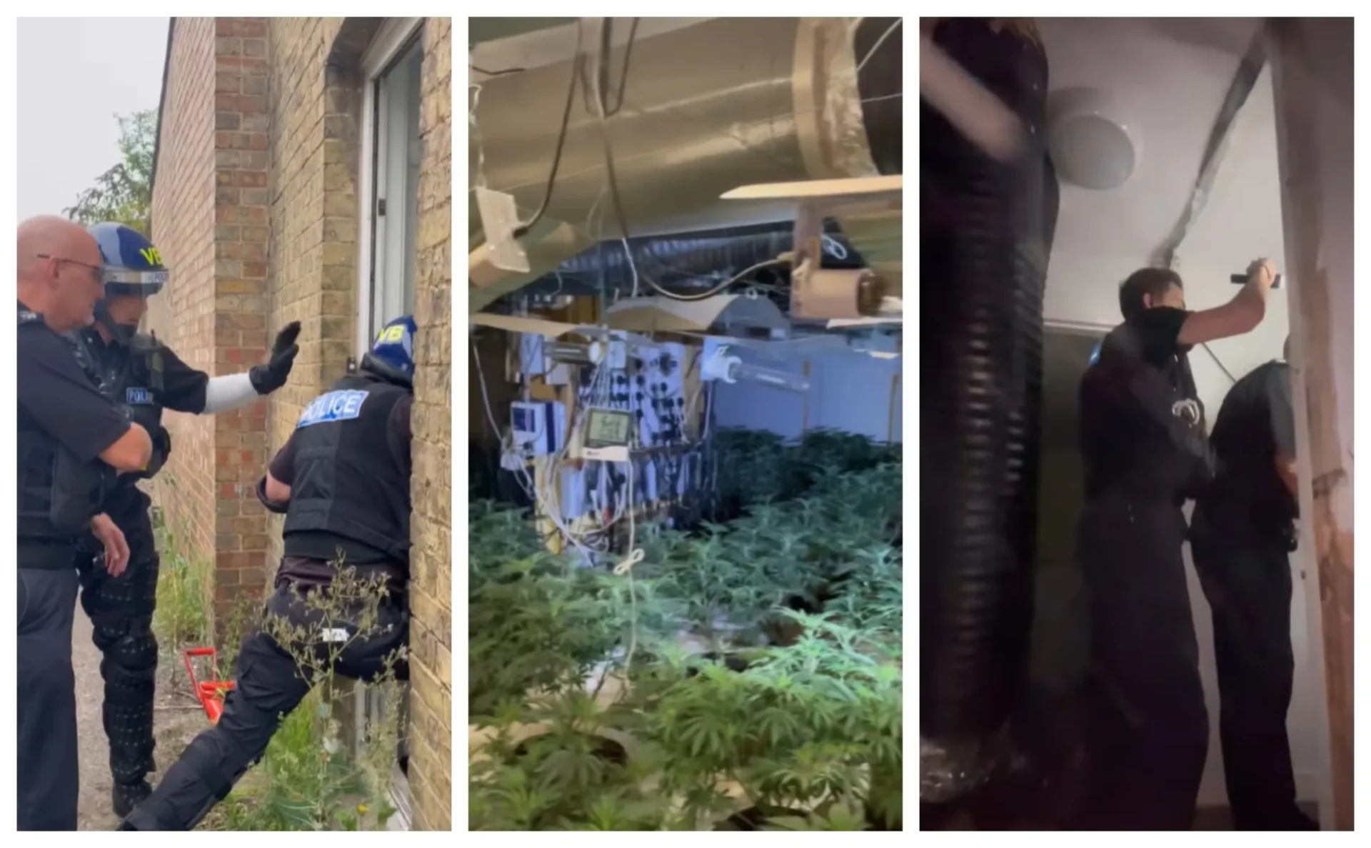 wicken 4 - News for Peterborough and Cambridgeshire News for Peterborough and Cambridgeshire - Albert Dakaj, 28, of no fixed address, has been charged with production of cannabis and abstracting electricity without authority. He is due to appear at Huntingdon Magistrates' Court today (7 September