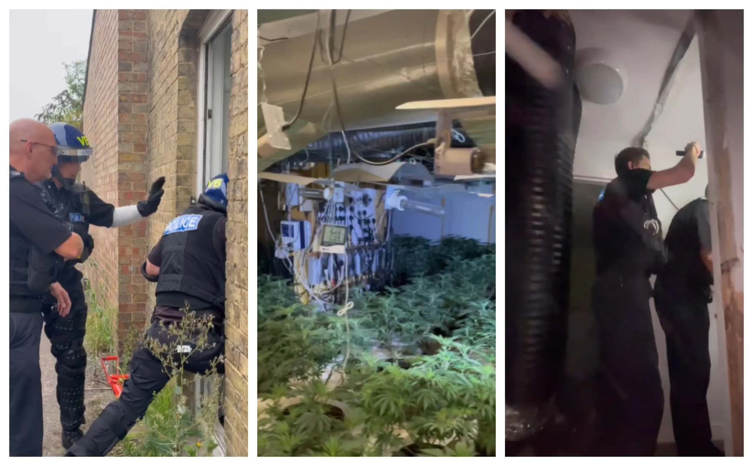 Albert Dakaj, 28, of no fixed address, has been charged with production of cannabis and abstracting electricity without authority. He is due to appear at Huntingdon Magistrates' Court today (7 September Albert Dakaj, 28, of no fixed address, has been charged with production of cannabis and abstracting electricity without authority. He is due to appear at Huntingdon Magistrates' Court today (7 September