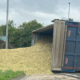 This tractor and trailer unit carrying chopped maize overturned at Littleport yesterday but fortunately eye witnesses said the driver escaped injury. PHOTO: CambsNews reader Justin Cooper