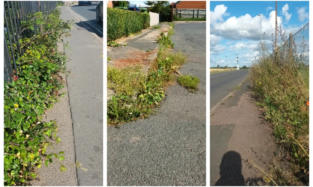 Weeds menace: Some recent photos provided of weeds out of control across Cambridgeshire. These from March