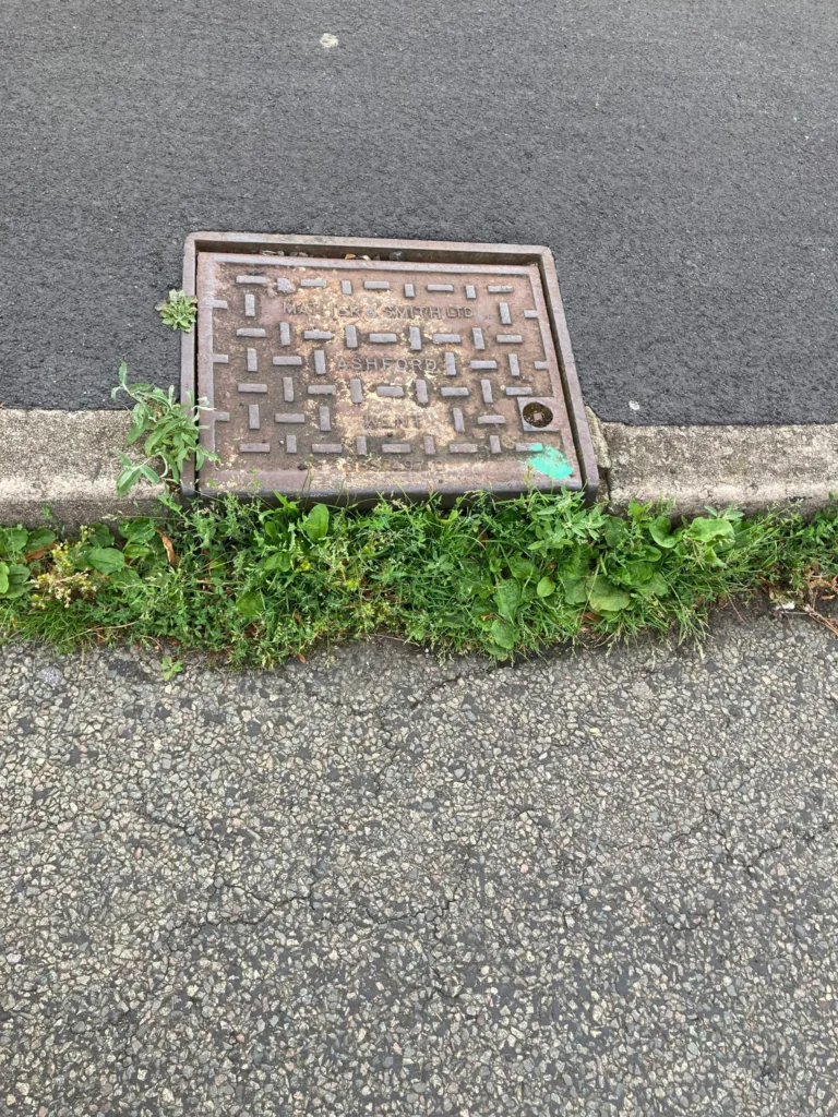 Weeds menace: Some recent photos provided of weeds out of control across Cambridgeshire. These from Yaxley