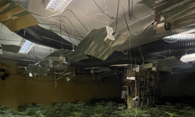 A photo of a cannabis grow room from the warrant at Wicken