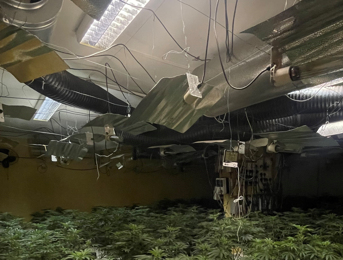 A photo of a cannabis grow room from the warrant at Wicken