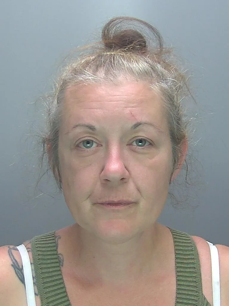 Pictured: Emma Hamilton, of Histon Road, Cambridge, jailed for possessing a knife (above) in a public place, and breaching a suspended sentence